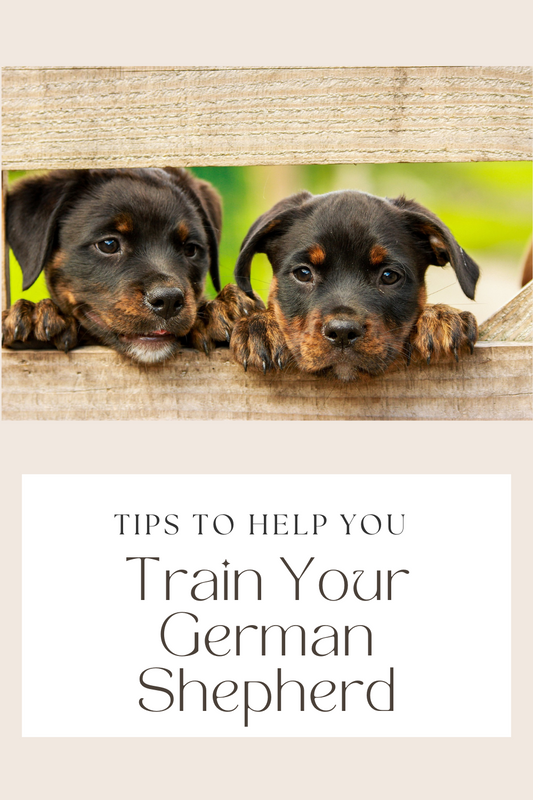 4 Tips To Help Train Your German Shepherd Blog from Personalizedpetlovergifts