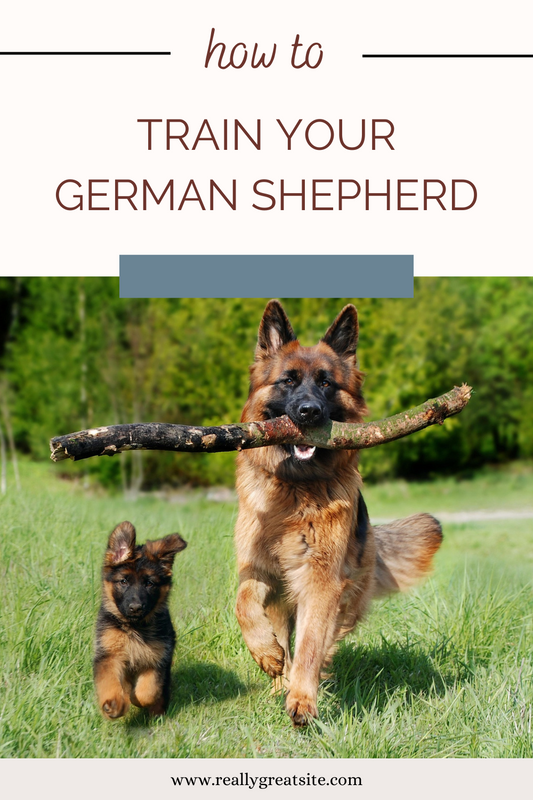 How to Train Your German Shepherd Blog from Personalizedpetlovergifts