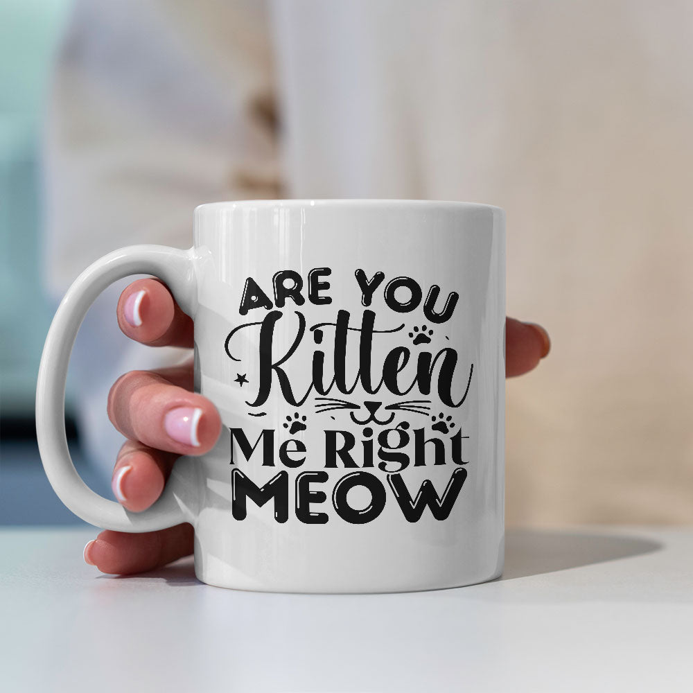 Are You Kitten Me Right Meow Coffee Mug at $13.95 found at Personalizedpetlovergifts