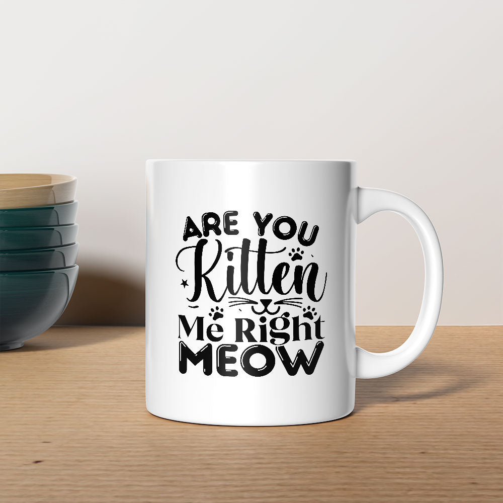 Are You Kitten Me Right Meow Coffee Mug at $13.95 found at Personalizedpetlovergifts