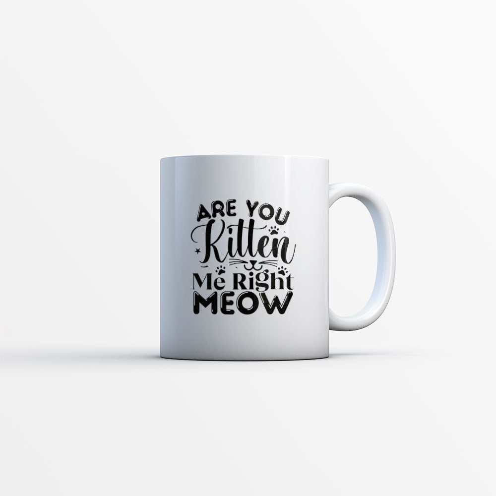 Are You Kitten Me Right Meow Coffee Mug at $13.95 found at Personalizedpetlovergifts